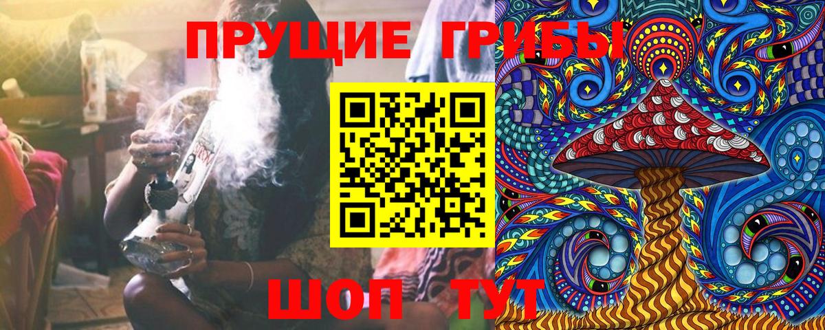 Апшеронск  Галлюциногенные грибы Cubensis  Вход с VPN 
